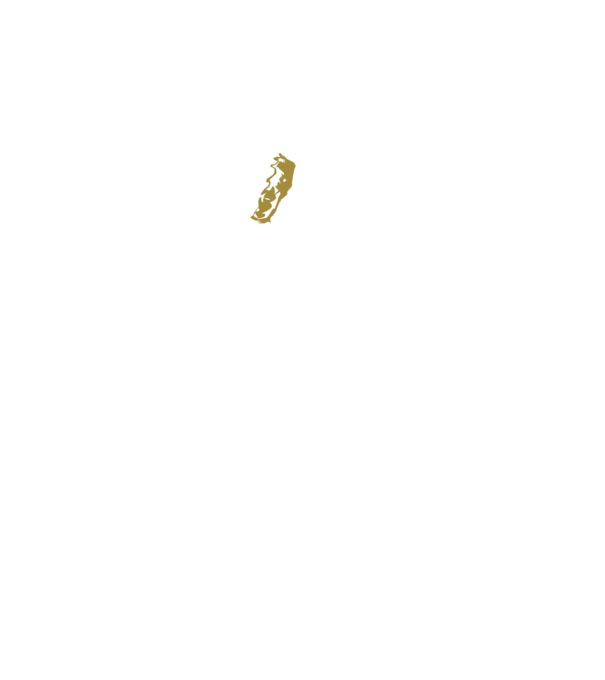 King in the north 2c model gri pe tricou