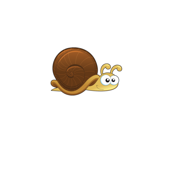 Snail model gri pe tricou