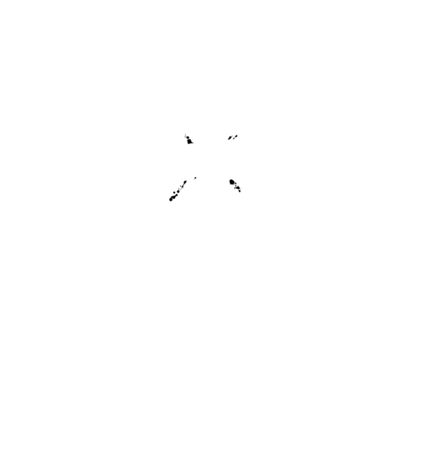 I survived the battle of the bastards model negru pe tricou