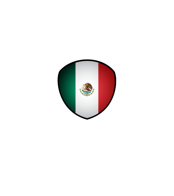 MEX-jabulani-flag model alb pe tricou