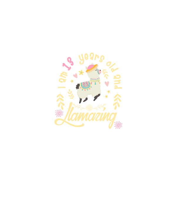 Birthday Llamazing 13 years old model negru pe tricou