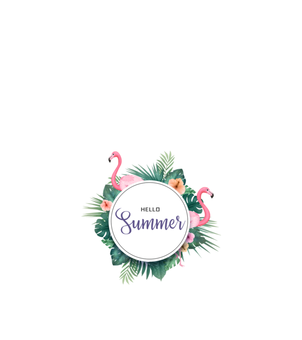 Hello summer model nisipiu pe tricou