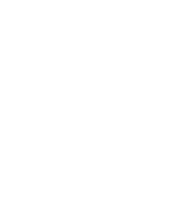Cei mai buni au gemeni model negru pe tricou