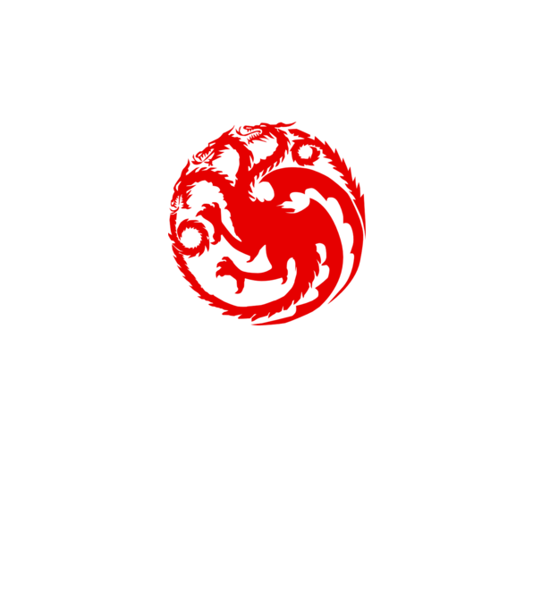 Targaryen model gri pe tricou