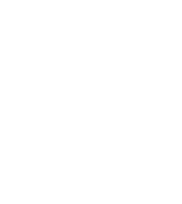 Zidarul model alb pe tricou