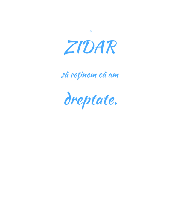 Sunt ZIDAR, pentru a economisi timp, să reținem că am întotdeauna dreptate model negru pe tricou