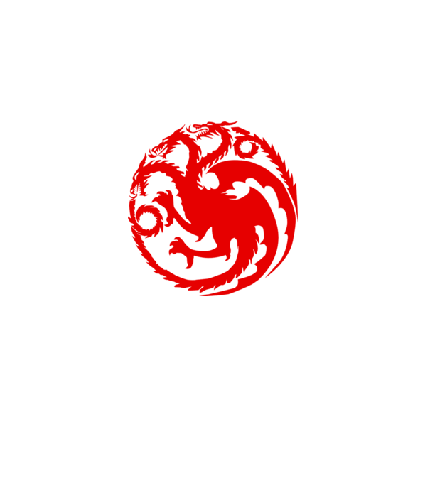 Targaryen model gri pe tricou