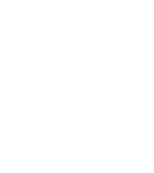 All men are created equal but only the best are born in june model negru pe tricou