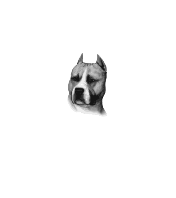 Staffordshire Terrier model alb pe tricou