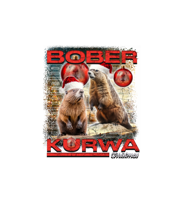 Bober kurwa christmas universe model alb pe tricou