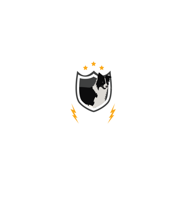 serviciu de securitate - securitate - persistență - 24 de ore pe zi model negru pe tricou