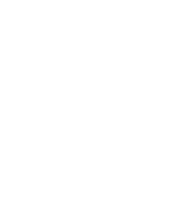 Așa arată un HOCHEIST foarte chipeș model negru pe tricou