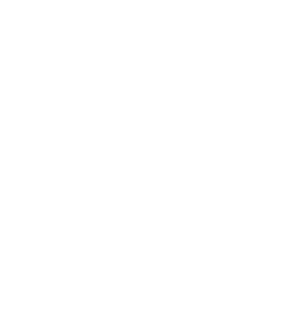 Crazy Cat Ladies are born in January model negru pe tricou