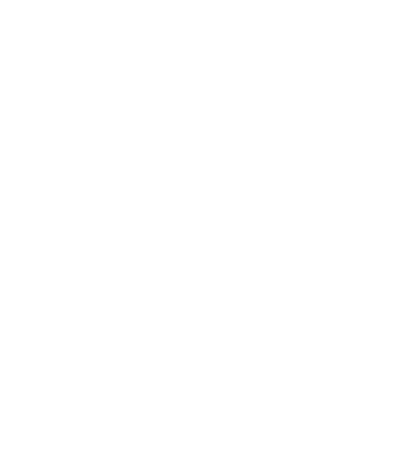 Bug fixed model negru pe tricou