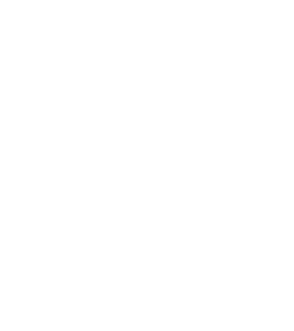 Crazy Cat Ladies are born in April model negru pe tricou