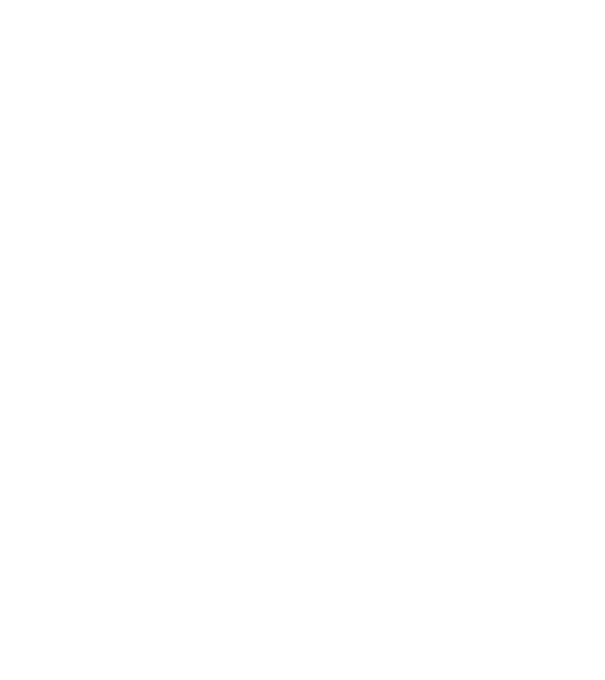 nimeni nu e perfect, dar stăpânii de havanese sunt foarte aproape model negru pe tricou