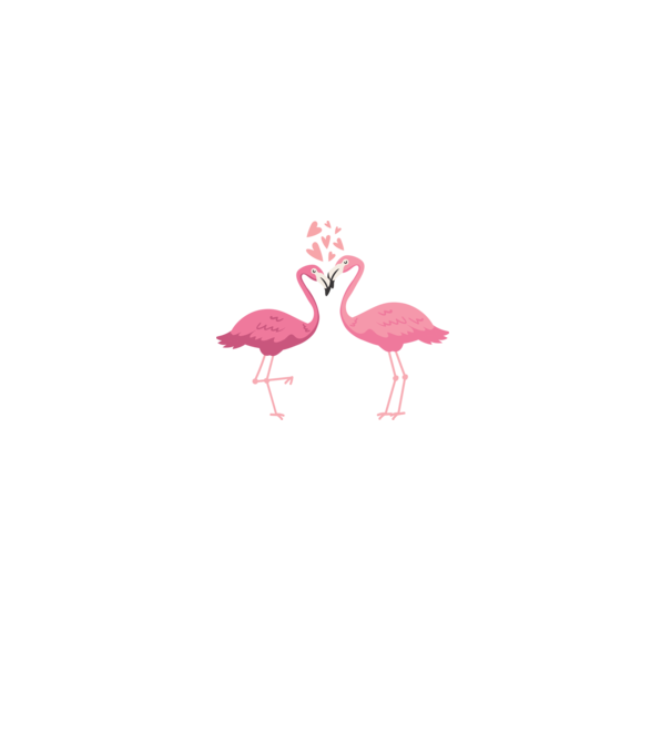FLAMINGO ÎNDRĂGOSTIȚI model alb pe tricou