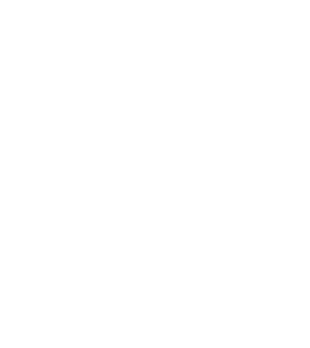 Așa arată un stăpân de Havanese foarte chipeș model negru pe tricou