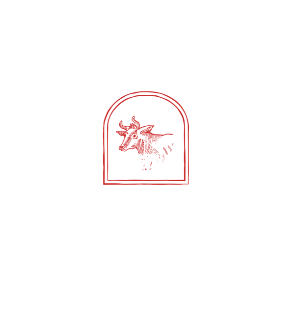 Festival de ceaun - cu tata în grădina din spate! model gri pe tricou