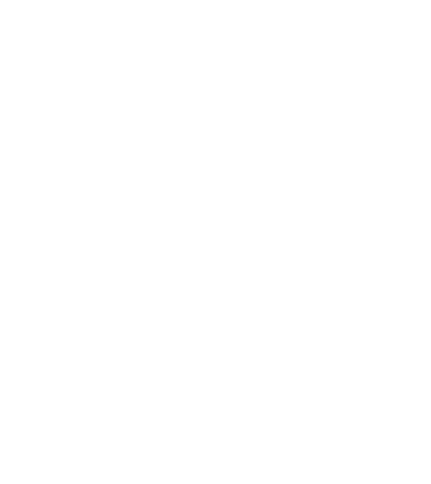 craniu 2 model albastru închis pe tricou