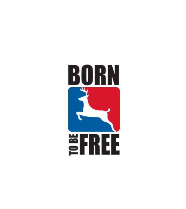 born to be free model turcoaz pe tricou