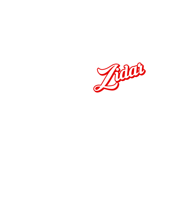 Cel mai bun ZIDAR din lume model galben neon pe tricou
