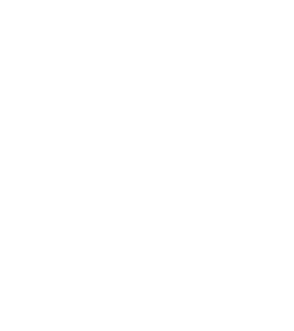 Freedom model gri pe tricou