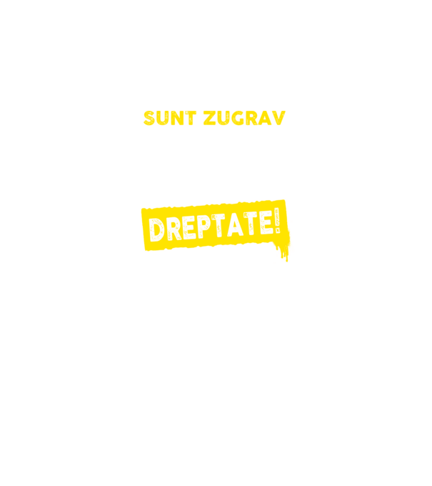 Sunt zugrav, pentru a economisi timp, să reținem că am întotdeauna dreptate! model negru pe tricou