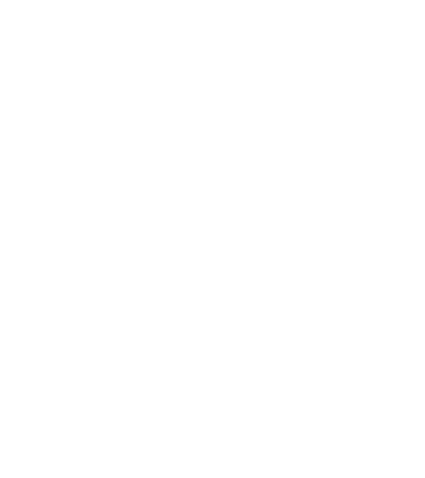 EarthLogo model negru pe tricou