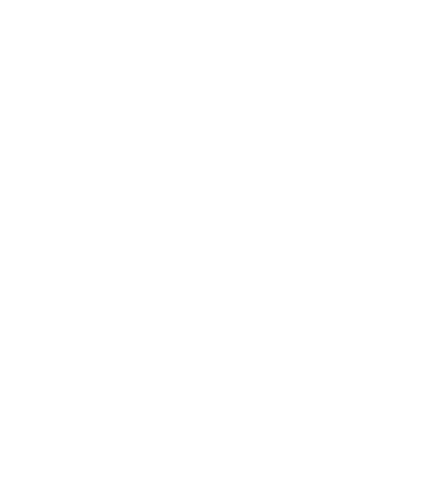 W.I.F.E. model negru pe tricou