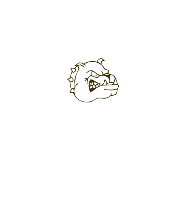 Bulldog model gri pe tricou