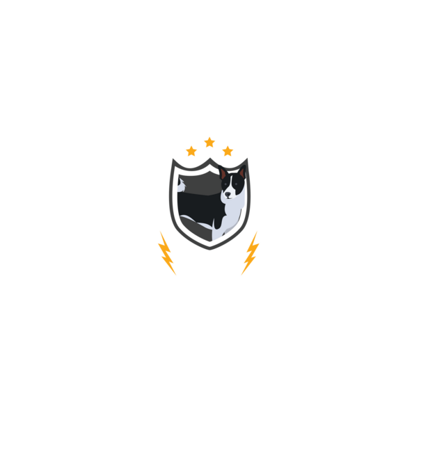 serviciu de securitate - securitate - persistență - 24 de ore pe zi model negru pe tricou