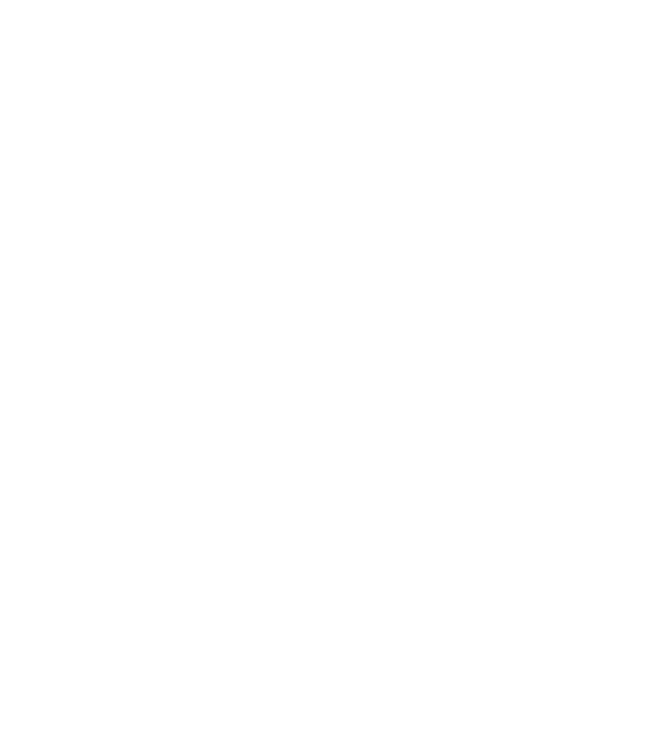 Alive since 1959 model gri pe tricou
