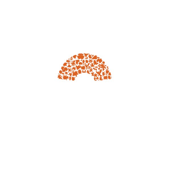 Pokeball model gri pe tricou
