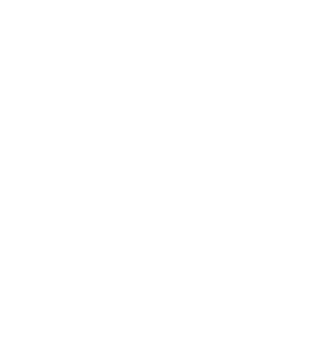 Crazy Cat Ladies are born in January model negru pe tricou