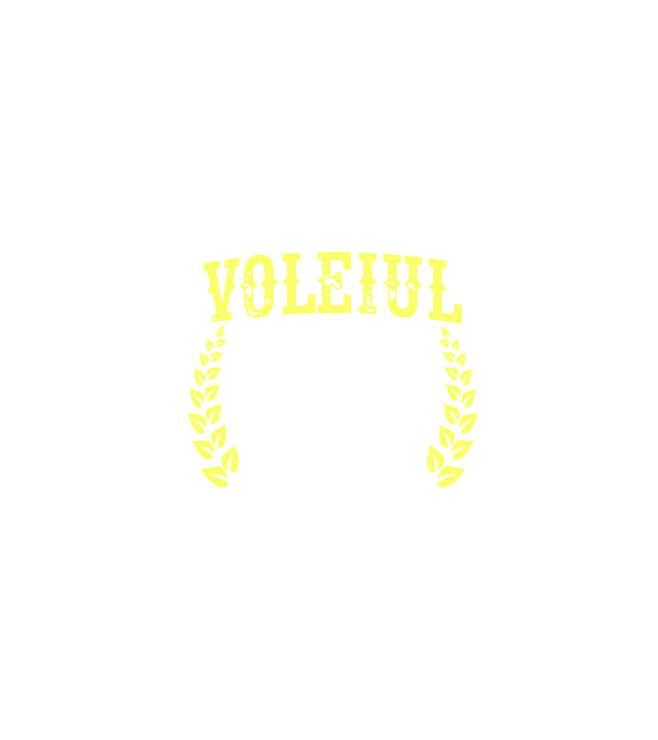 Singurul lucru mai bun decât voleiul este să fiu tată model negru pe tricou