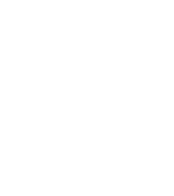 LOVE VIȘLĂ model negru pe tricou