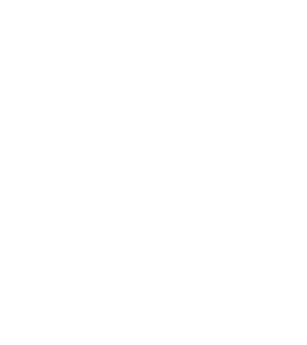 Bug fixed model gri pe tricou