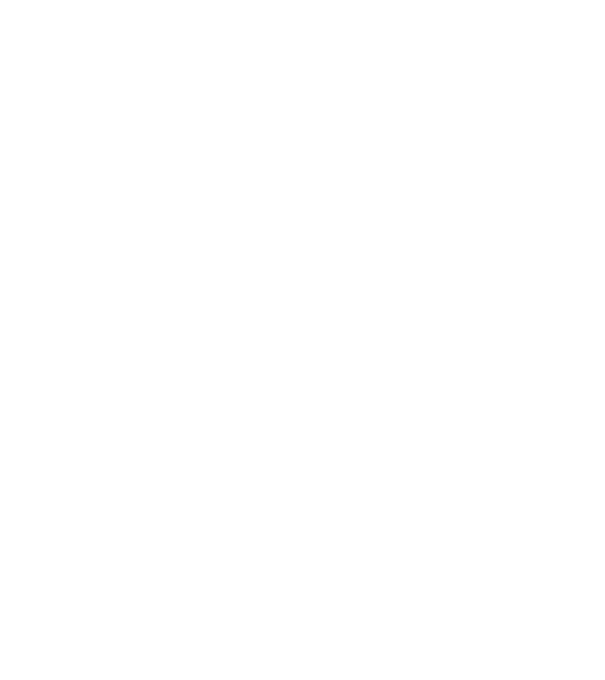 champions train model verde neon pe tricou