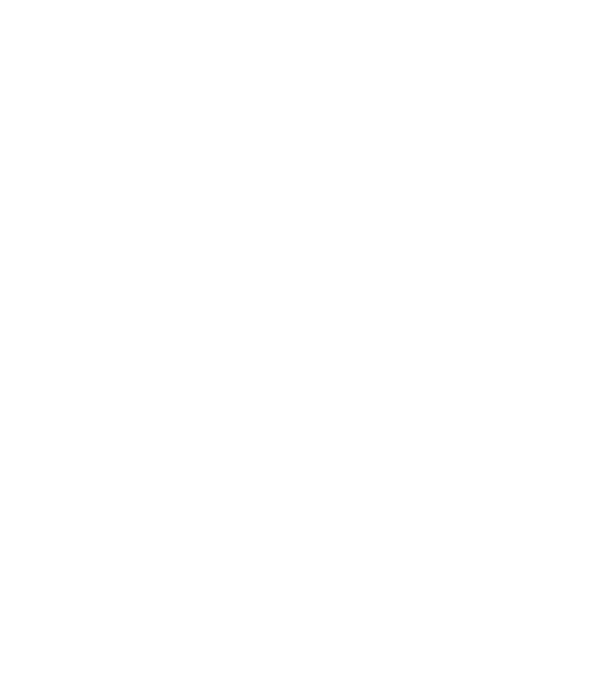 Bonnie és Clyde CLYDE model gri pe tricou