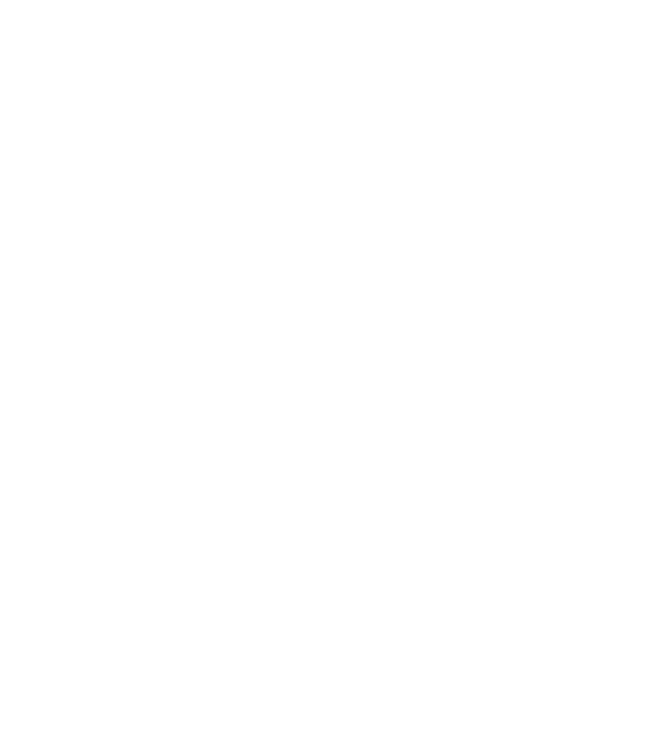 I passed my exams model gri pe tricou