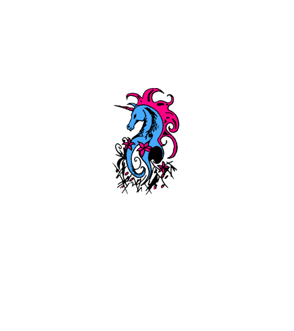pegasus model liliachiu pe tricou