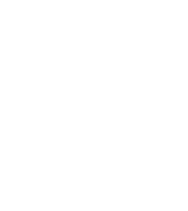 Box evolution model negru pe tricou