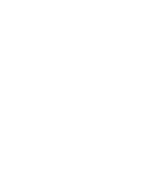 Camion 2. model albastru deschis pe tricou