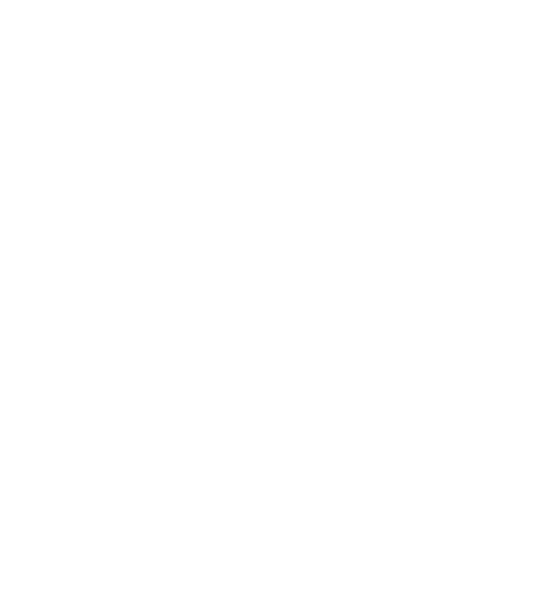 Crazy Cat Ladies are born in February model negru pe tricou