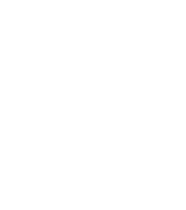 LOVE Pudel model gri pe tricou
