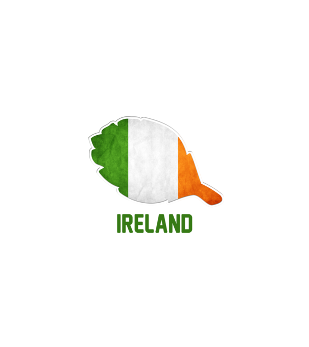 Steag irlandez model alb pe tricou