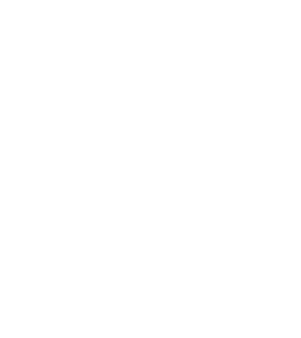Mr 2 model negru pe tricou
