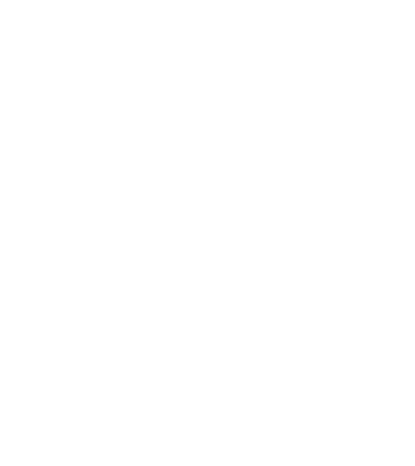 România made in model negru pe tricou