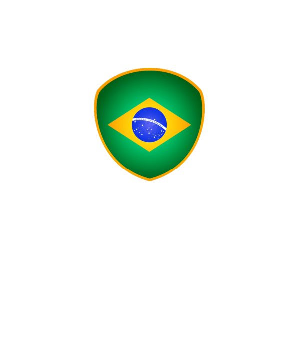 BRA-jabulani-flag model gri pe tricou